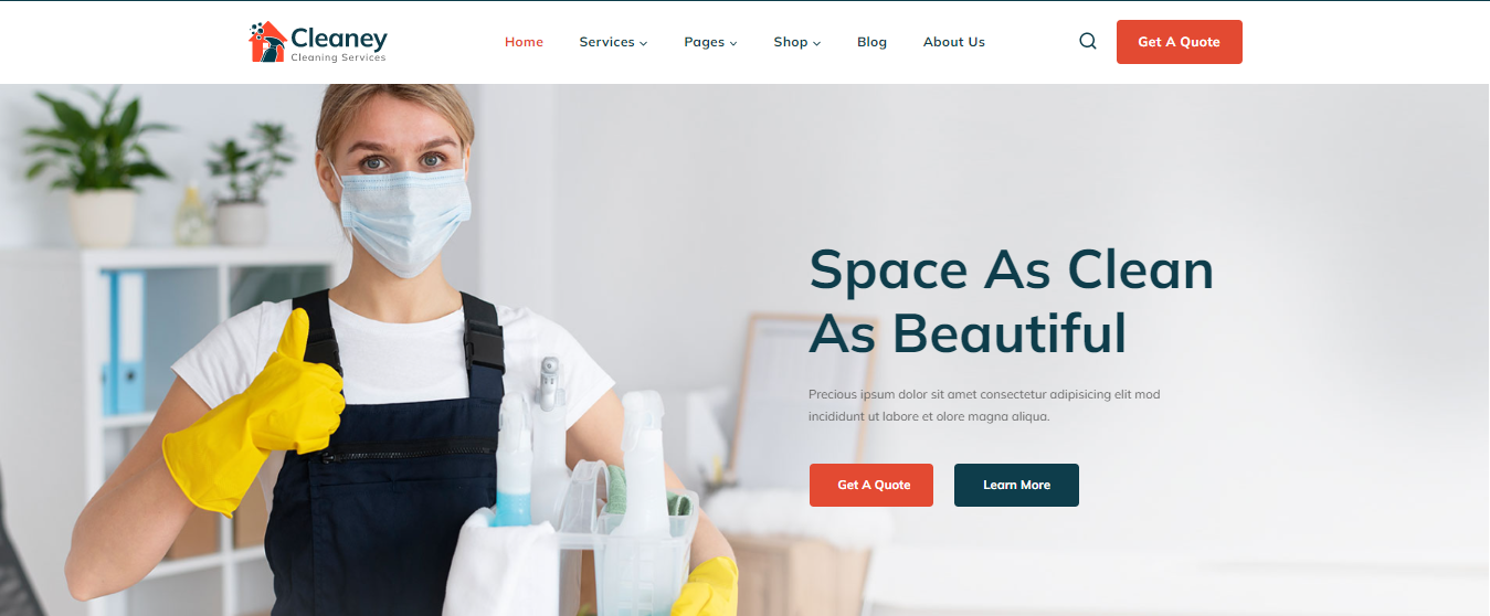 Cleaning Services Websites - Cleaney