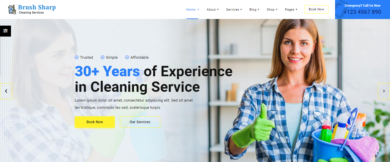 Cleaning Services Websites - Brush Sharp