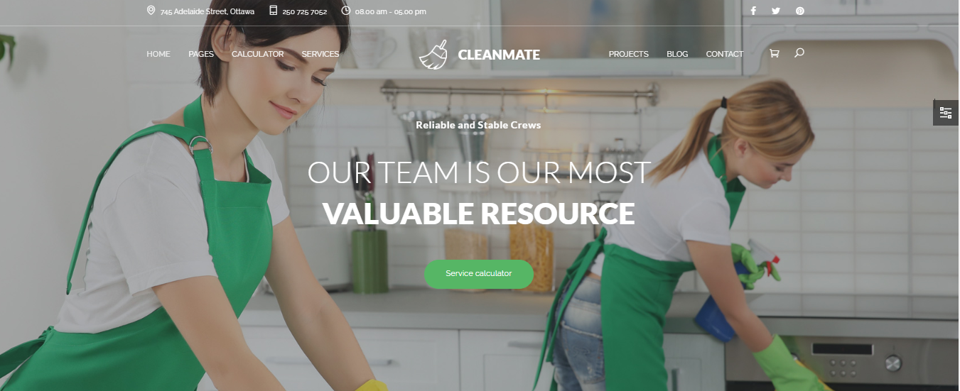 Cleaning Services Websites - CleanMate