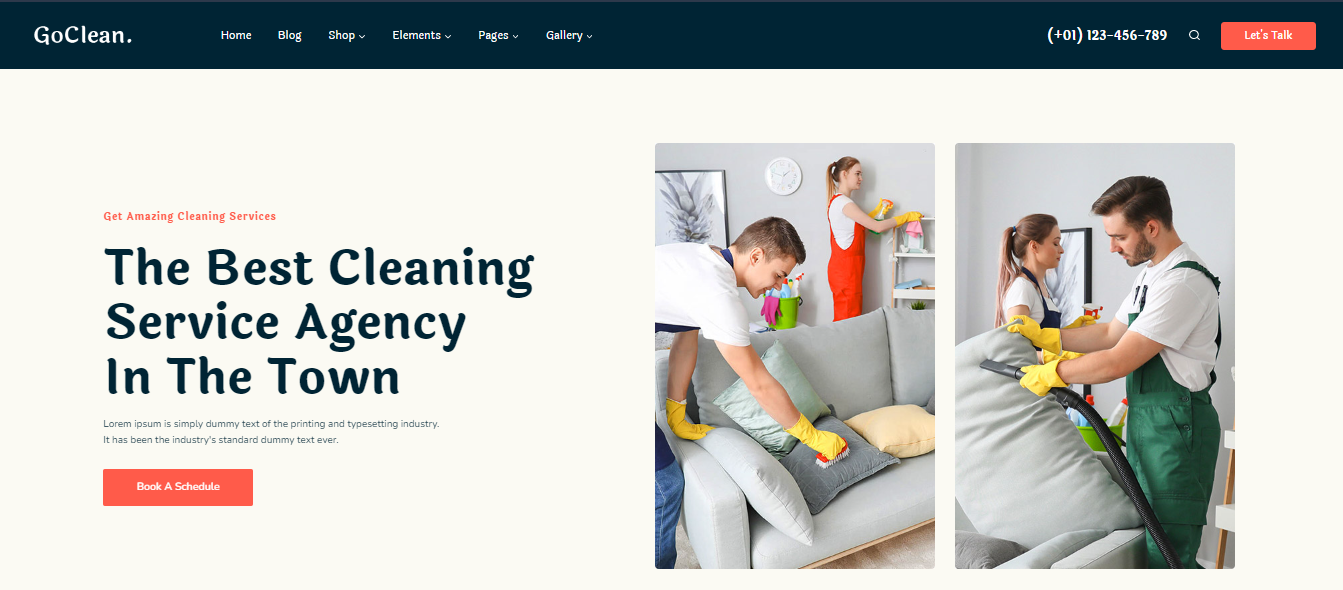 Cleaning Services Websites - GoClean